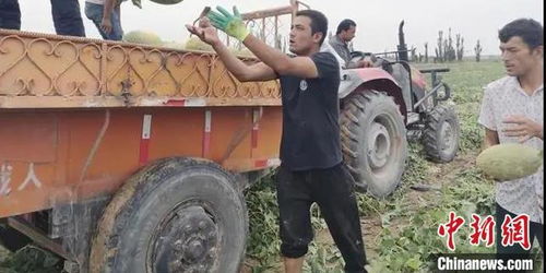 深圳助力喀什農(nóng)副產(chǎn)品出疆，銷售額達1.8億元助力鄉(xiāng)村振興