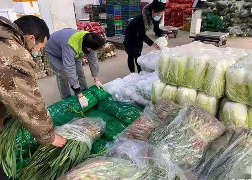 我縣嚴(yán)把準(zhǔn)入關(guān)，力保春節(jié)“菜籃子”量足價(jià)穩(wěn)