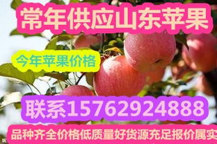 沂水鴻達(dá)農(nóng)副產(chǎn)品購(gòu)銷(xiāo)處 可靠的紅星蘋(píng)果批發(fā)供應(yīng)商